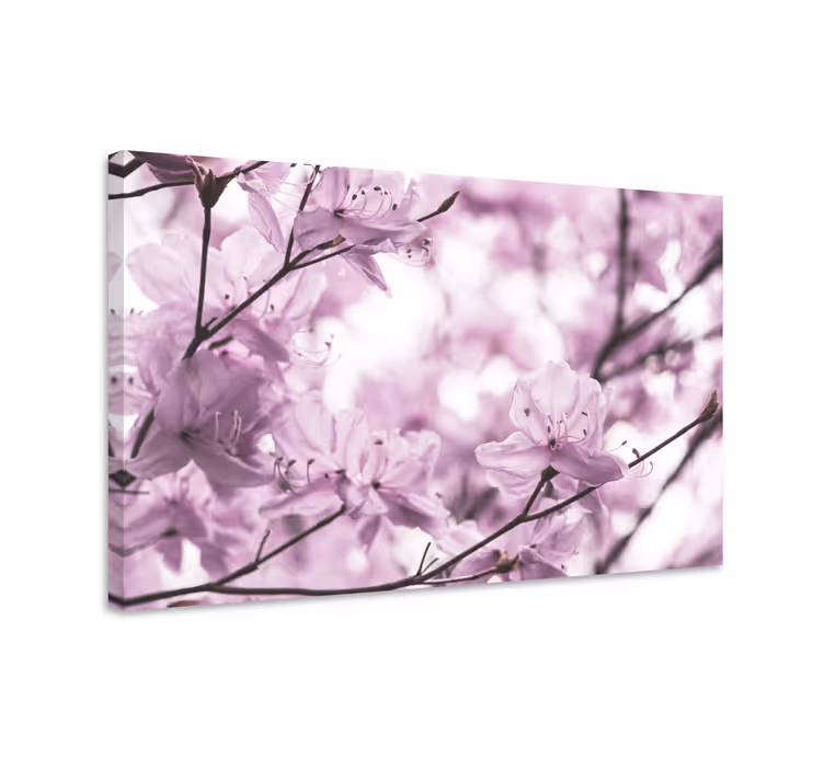 Tableau fleurs et plantes Éclosions florales délicates - TenStickers
