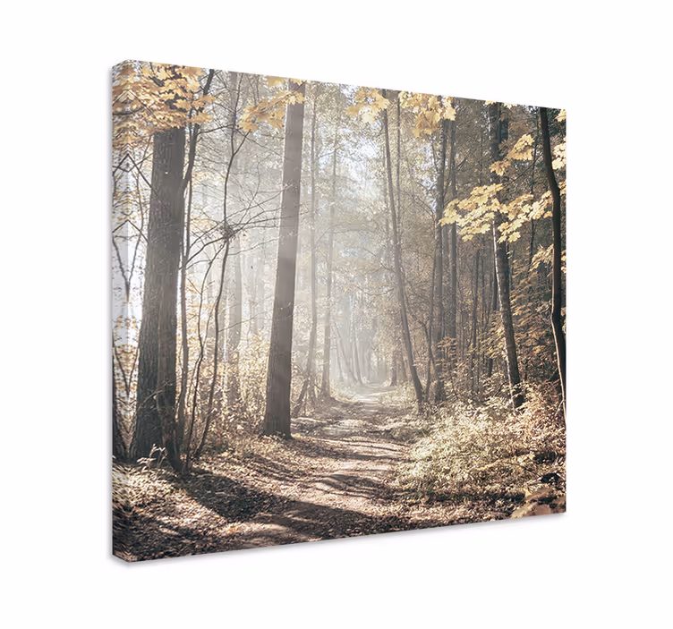 Tableau paysage chemin couvert de brume - TenStickers