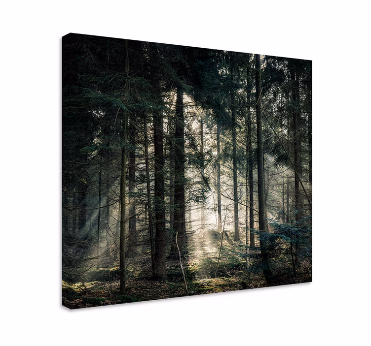 Tableau paysage rayons de soleil à travers le feuillage - TenStickers