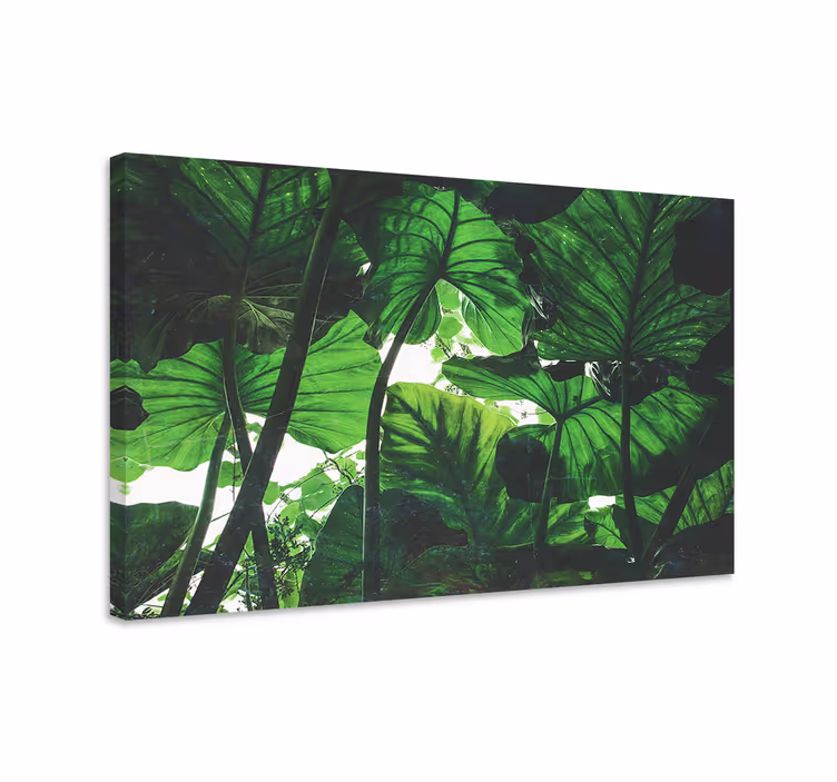 Tableau fleurs et plantes canopée de feuilles tropicales - TenStickers