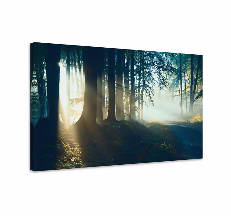 Tableau paysage sentier forestier brumeux - TenStickers