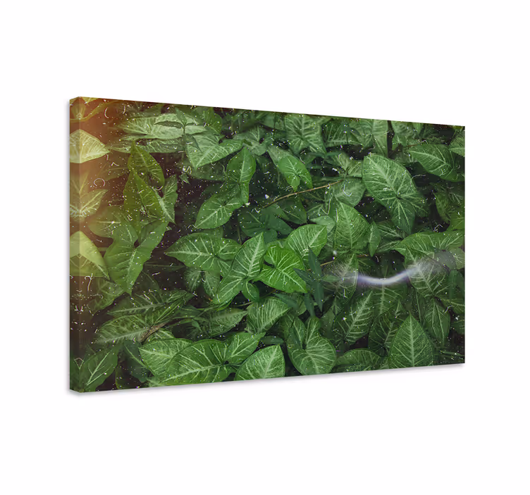 Tableau fleurs et plantes feuilles vertes vibrantes - TenStickers