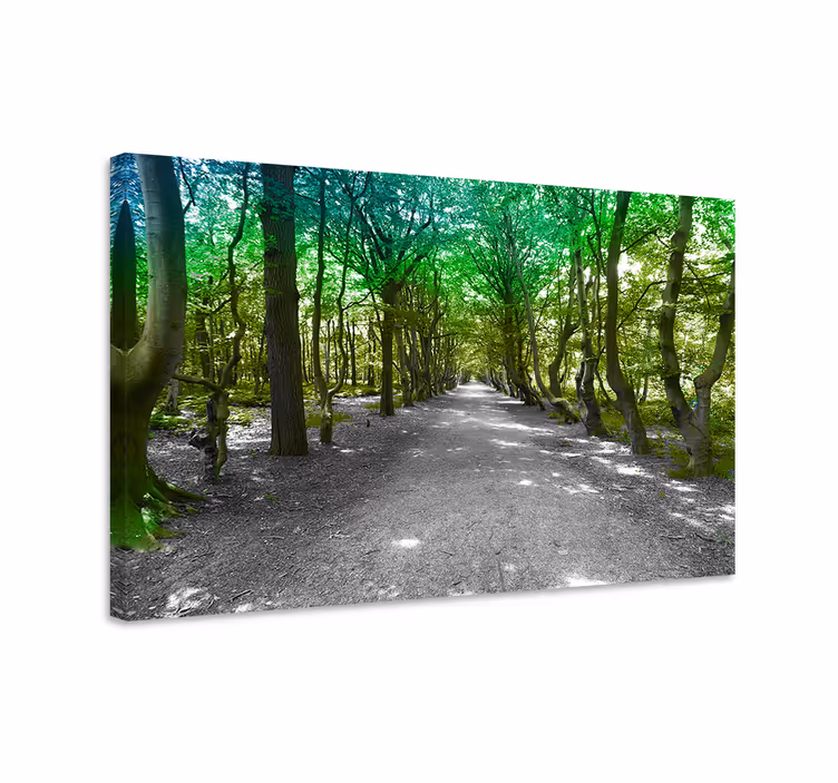 Tableau arbres chemin forestier verdoyant - TenStickers
