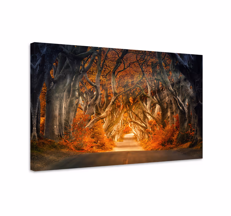 Tableau paysage chemin d'automne mystérieux - TenStickers