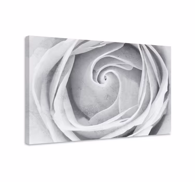 Tableau fleurs et plantes spirale de roses élégantes - TenStickers