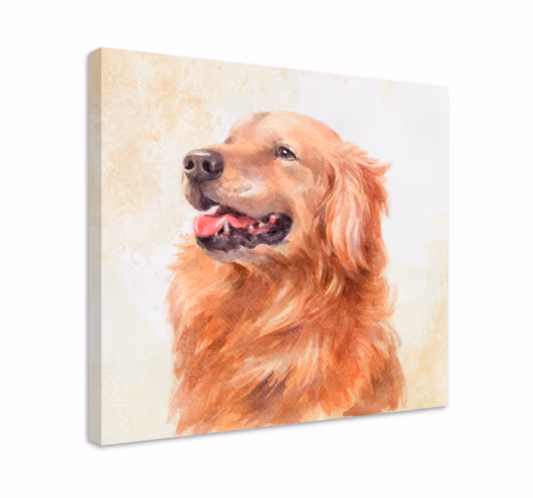 Tableau chiens illustration de golden retriever - TenStickers