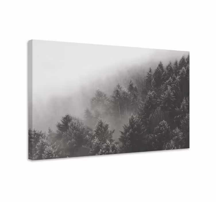 Tableau 3D forêt de pins blancs - TenStickers