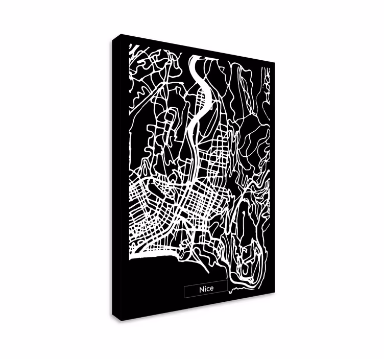 Tableau carte topographique Nice - TenStickers