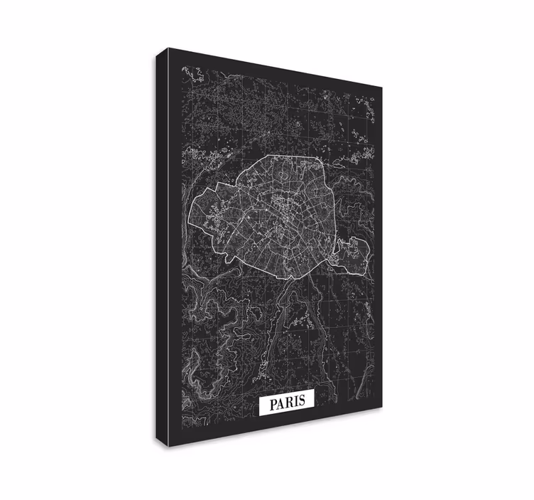 Tableau topographie Paris - TenStickers