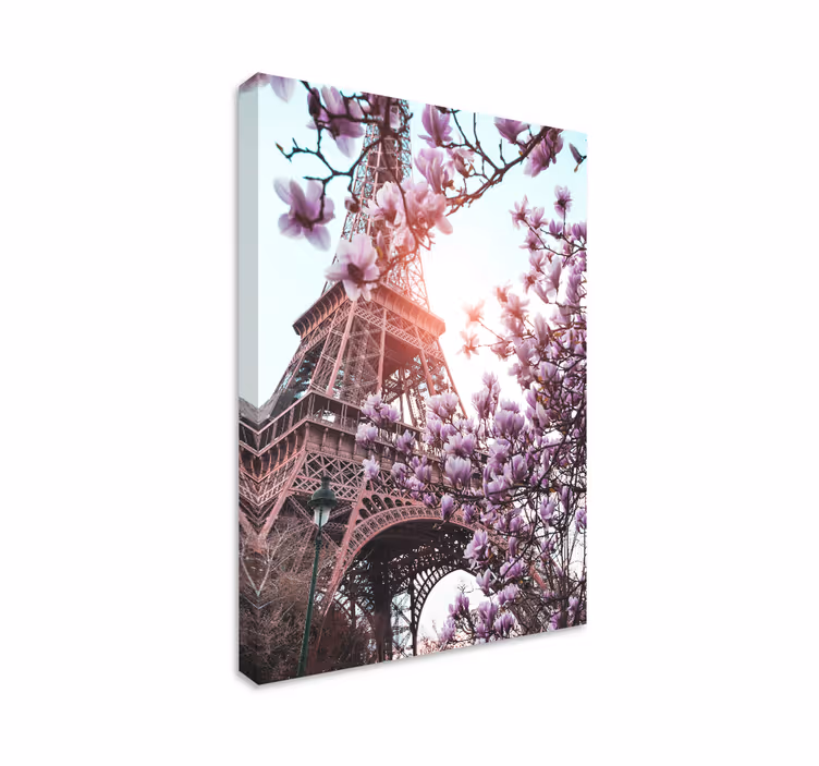 Tableau photo Paris en fleurs - TenStickers