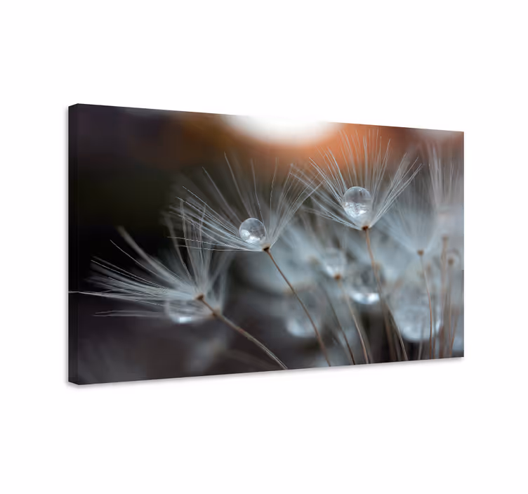 Tableau fleurs pissenlits - TenStickers