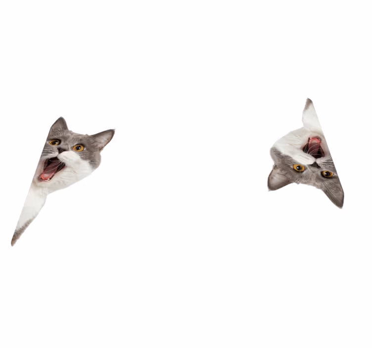 Tapis vinyle animal chat espionnant fond blanc - TenStickers
