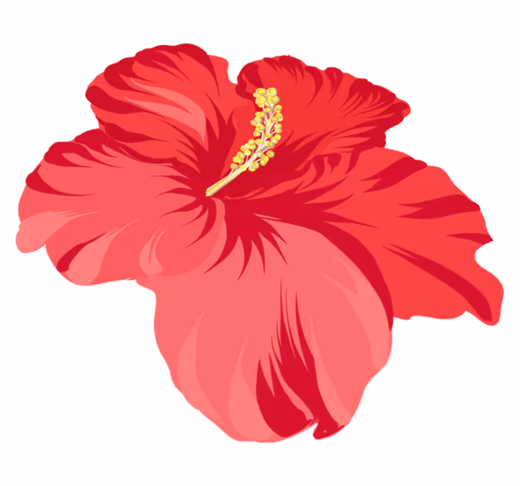 Tapis vinyle plantes kit fleur hibiscus rouge - TenStickers