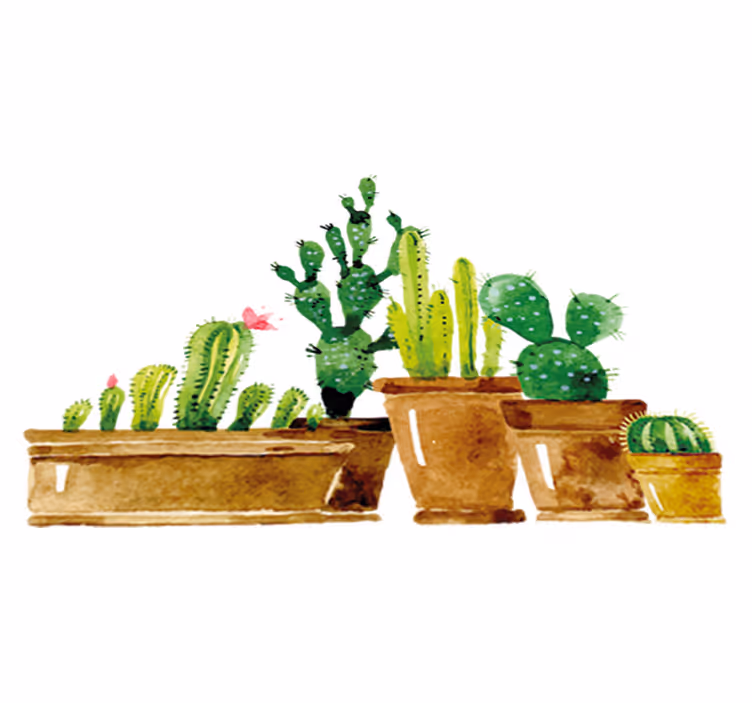 Tapis vinyle plantes jardin de cactus fait maison - TenStickers