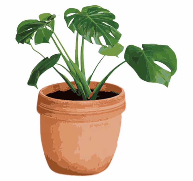 Tapis vinyle plantes pot de monstera simple - TenStickers