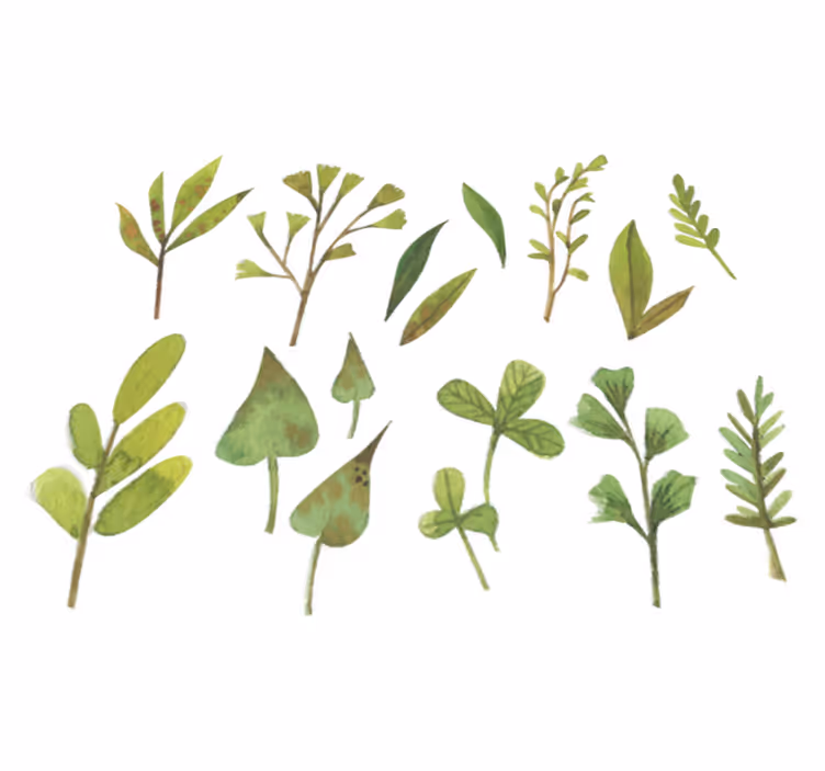 Tapis vinyle plantes feuilles aquarelle petites - TenStickers