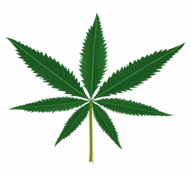 Tapis vinyle plantes feuille de marijuana - TenStickers