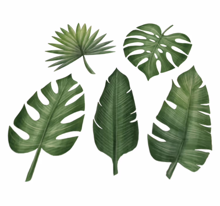 Tapis vinyle plantes grandes feuilles vertes - TenStickers