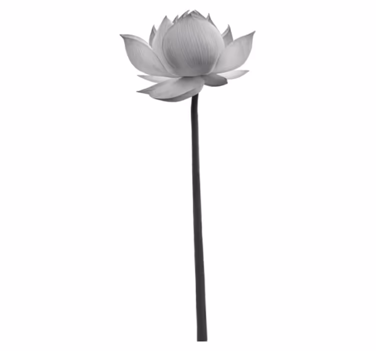 Tapis vinyle chambre fleur de lotus solitaire - TenStickers