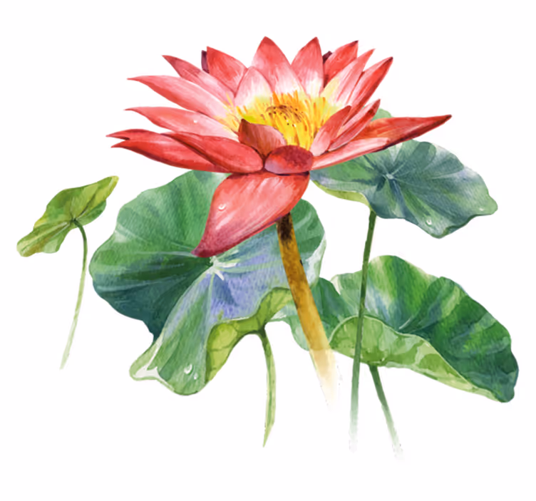 Tapis vinyle chambre illusion aquarelle lotus - TenStickers