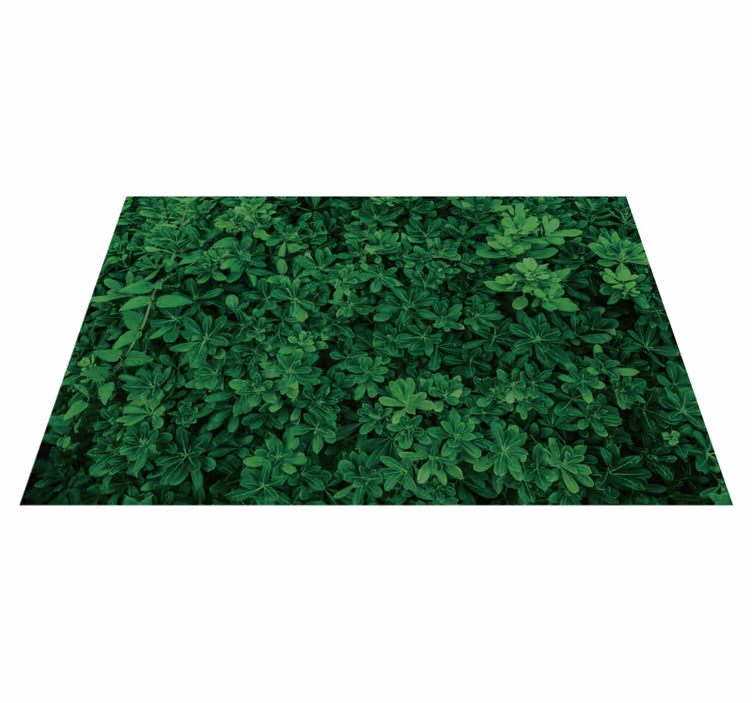 Tapis vinyle plantes motif de trèfle botanique - TenStickers