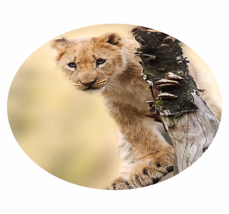 Tapis vinyle motif animal lionceau curieux - TenStickers