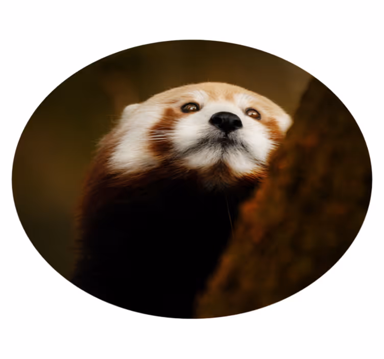Tapis vinyle animal portrait de renard roux - TenStickers