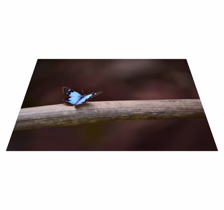 Tapis vinyle nature papillon sur une branche - TenStickers