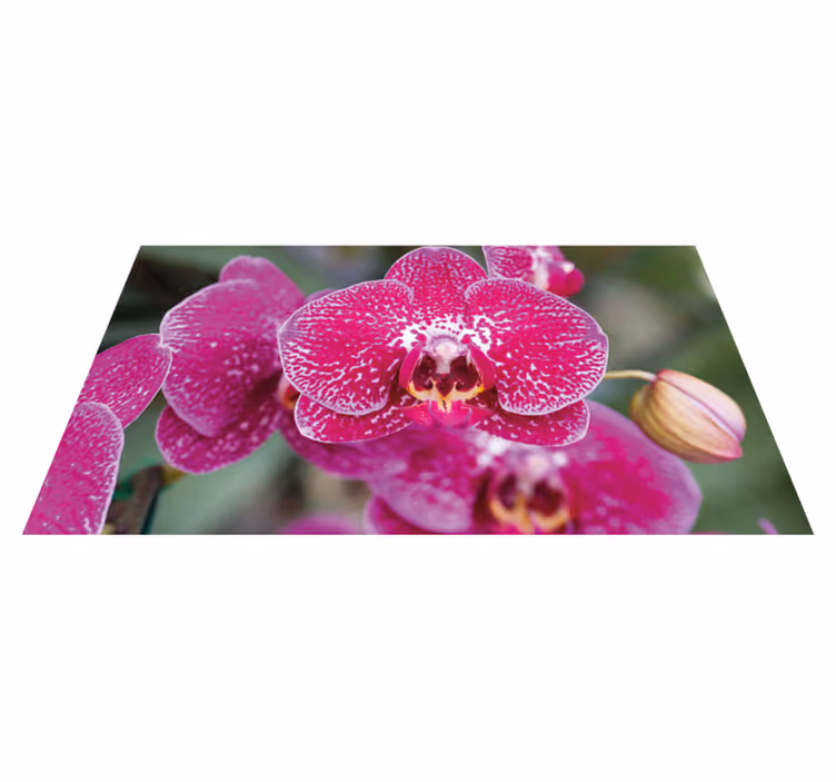 Tapis vinyle plantes fleurs d'orchidées vibrantes - TenStickers