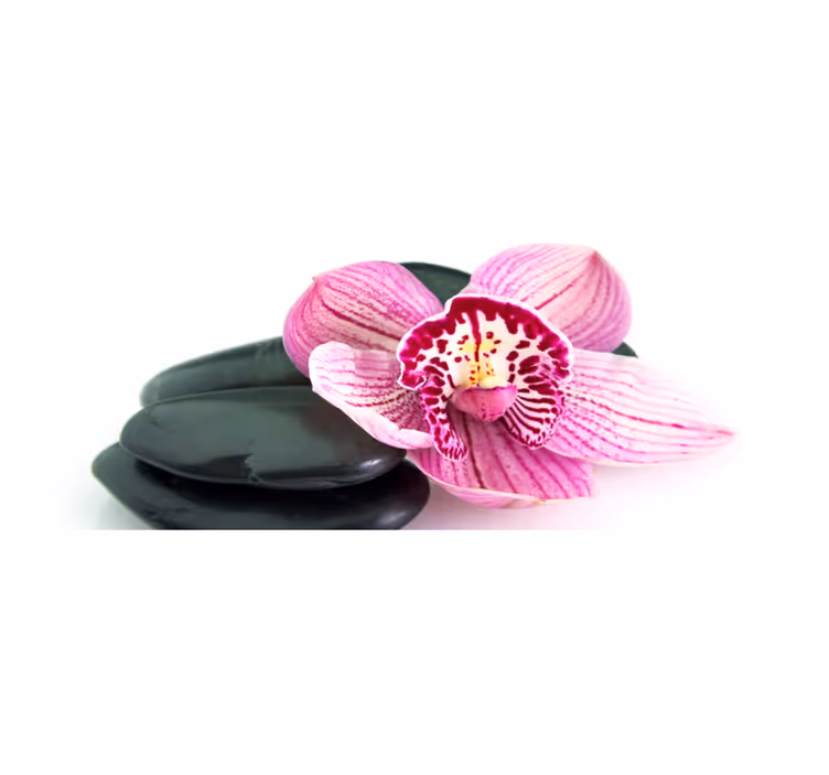 Tapis vinyle plantes orchidée et pierres - TenStickers
