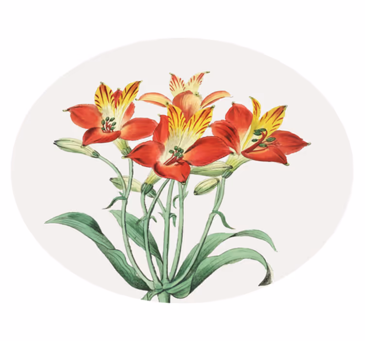 Tapis vinyle plantes fleurs rouges vives - TenStickers