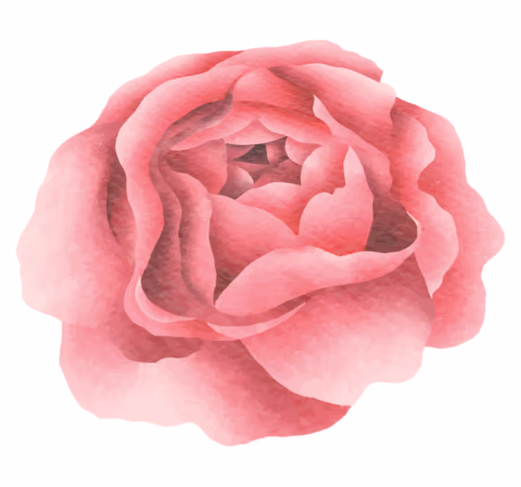 Tapis vinyle plantes fleur rose blush - TenStickers