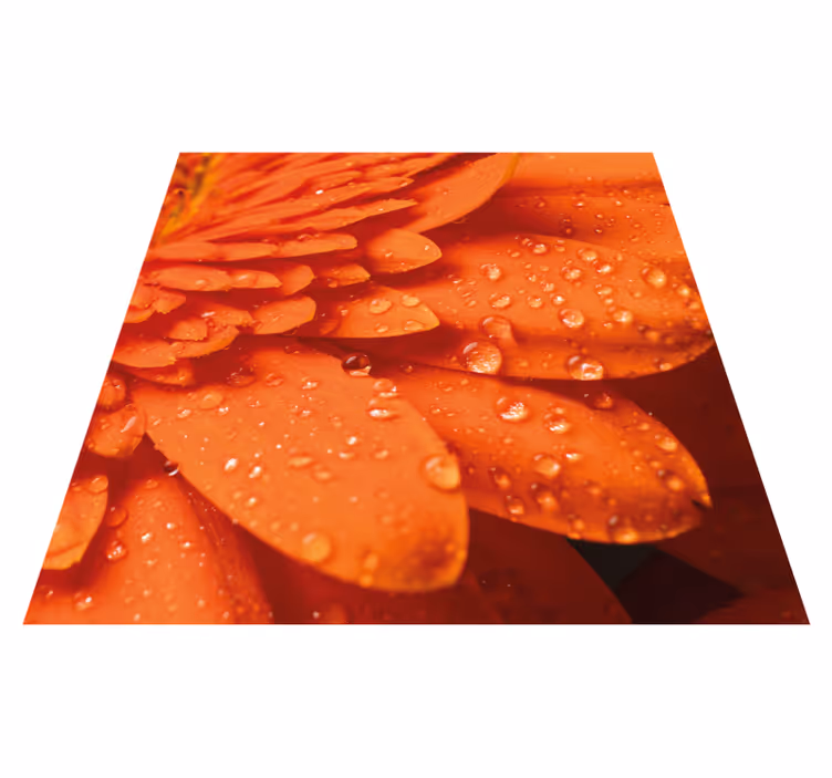 Tapis vinyle plantes pétales orange vif - TenStickers
