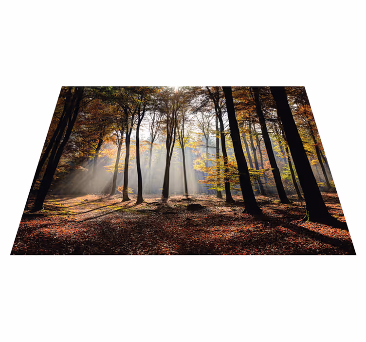 Tapis vinyle nature tranquillité de la forêt - TenStickers