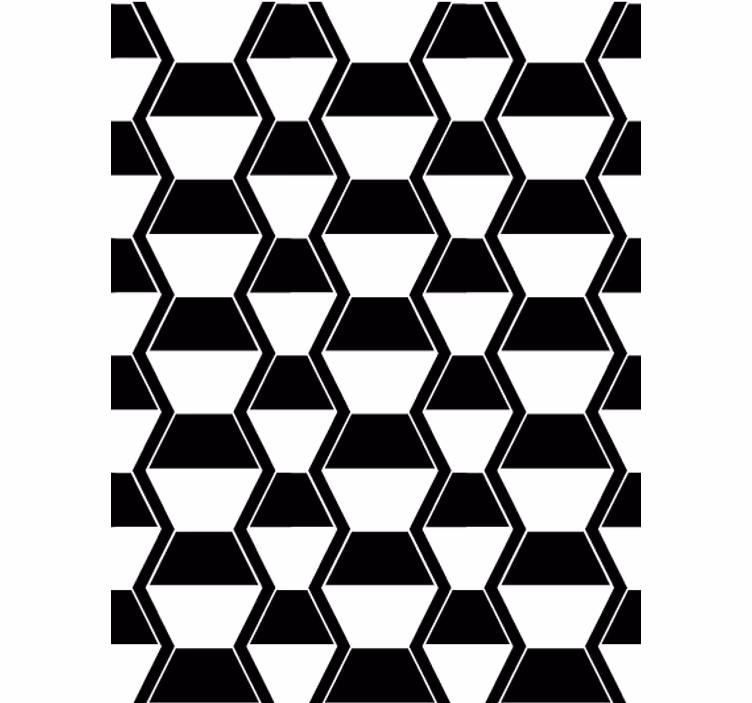 Papier peint salon hexagones noir et blanc cosmopolite - TenStickers