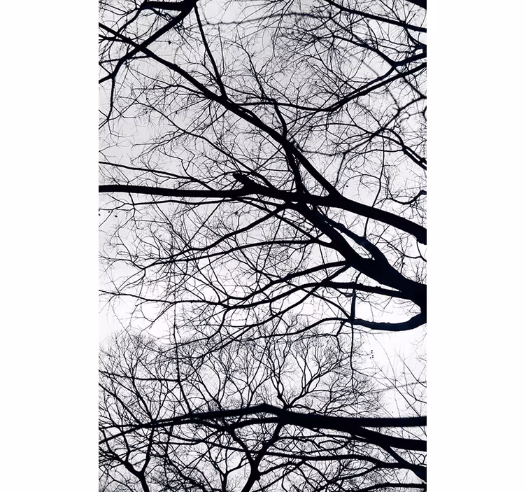 Papier peint arbre blanc et gris - TenStickers