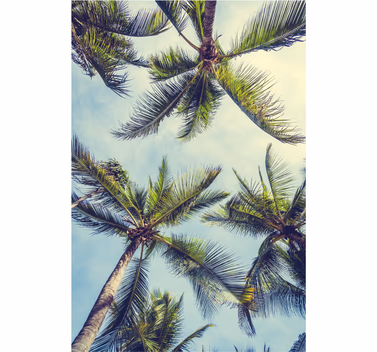 Papier peint arbre palmiers en bas - TenStickers
