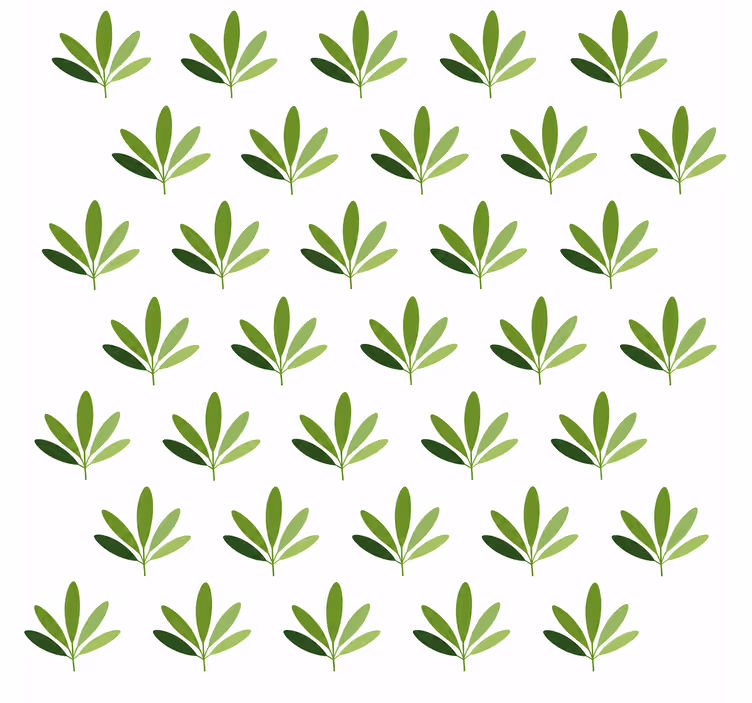Papier peint feuilles palmier doux - TenStickers