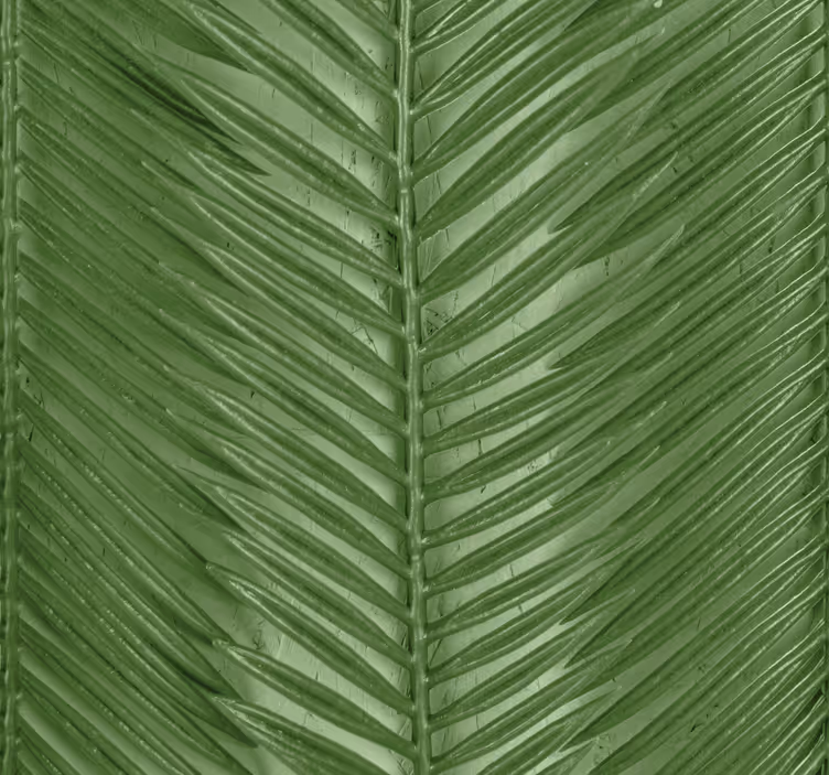 Papier peint moderne Rayures tropicales modernes - TenStickers