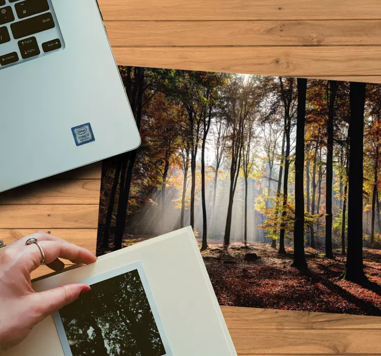 Tapis de souris original Arbres à feuillage ensoleillé - TenStickers