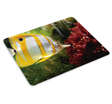 Tapis de souris xxl scène de poissons colorés - TenStickers