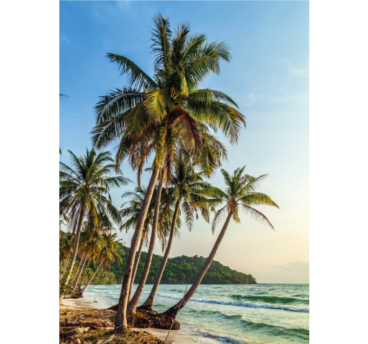 Store enrouleur salle de bain plage de palmiers - TenStickers