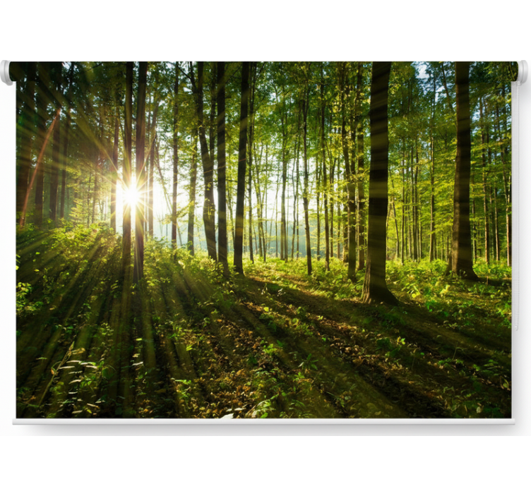 Store enrouleur arbre forêts de rayons d'or - TenStickers