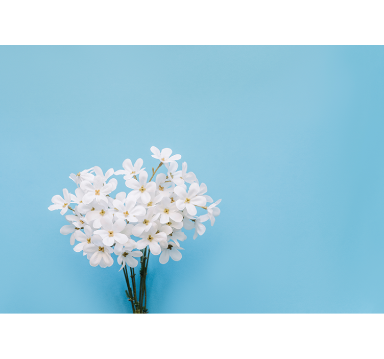 Store enrouleur cuisine fond bleu jazmin - TenStickers