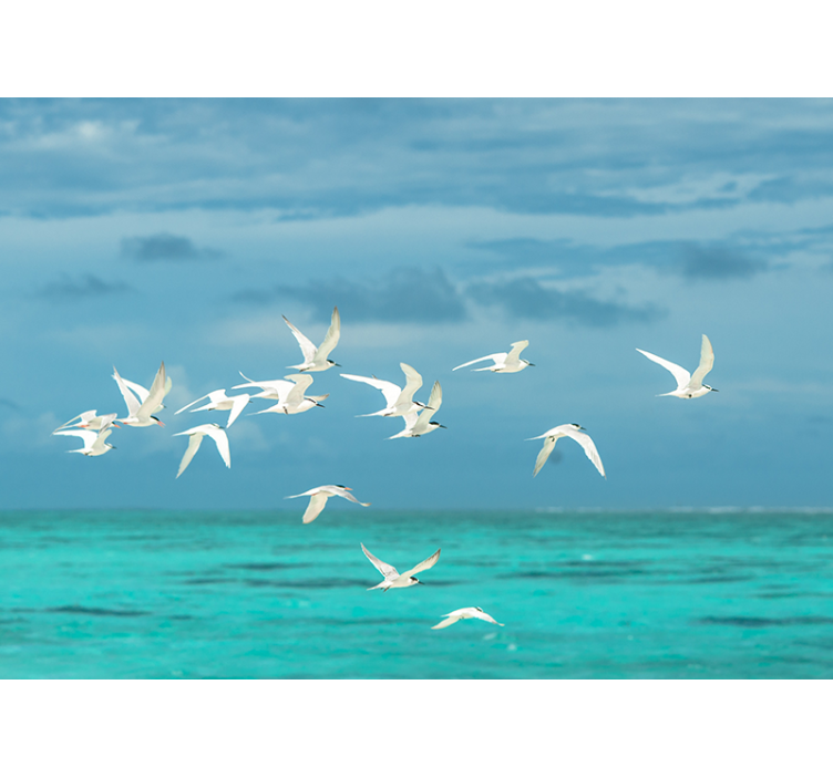 Store enrouleur bureau oiseaux en vol - TenStickers
