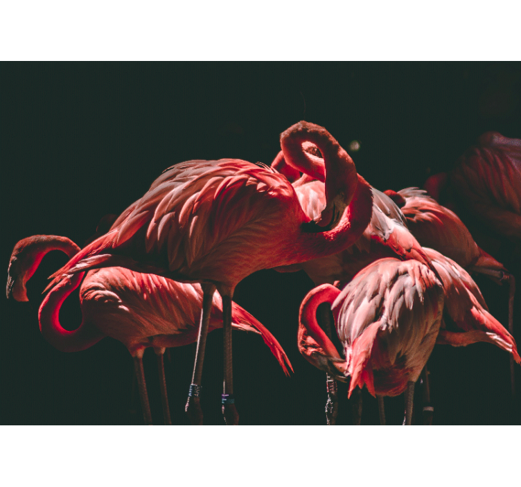 Store enrouleur bureau flamants roses lumineux - TenStickers