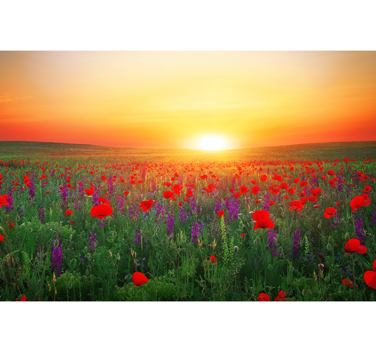 Store enrouleur bureau champ de coquelicots au soleil - TenStickers