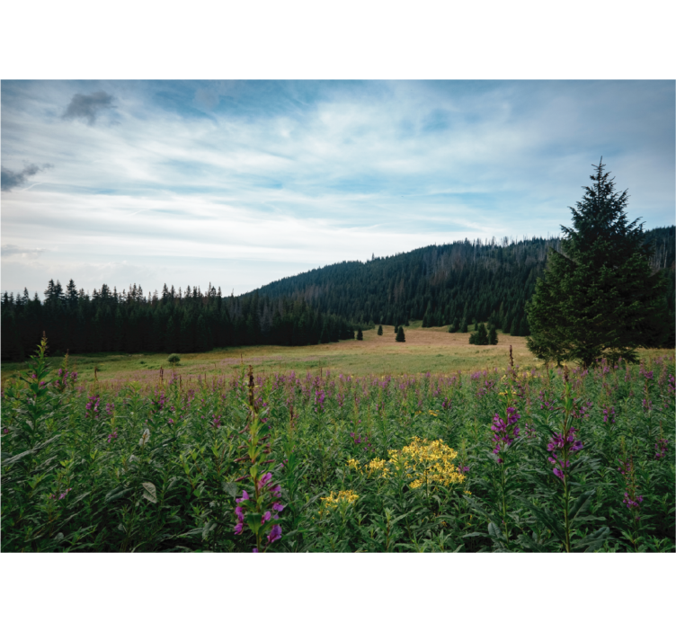Store enrouleur bureau parc tatra au printemps - TenStickers