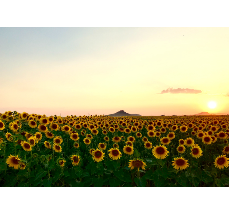 Store enrouleur bureau paysage spectaculaire avec fleurs - TenStickers