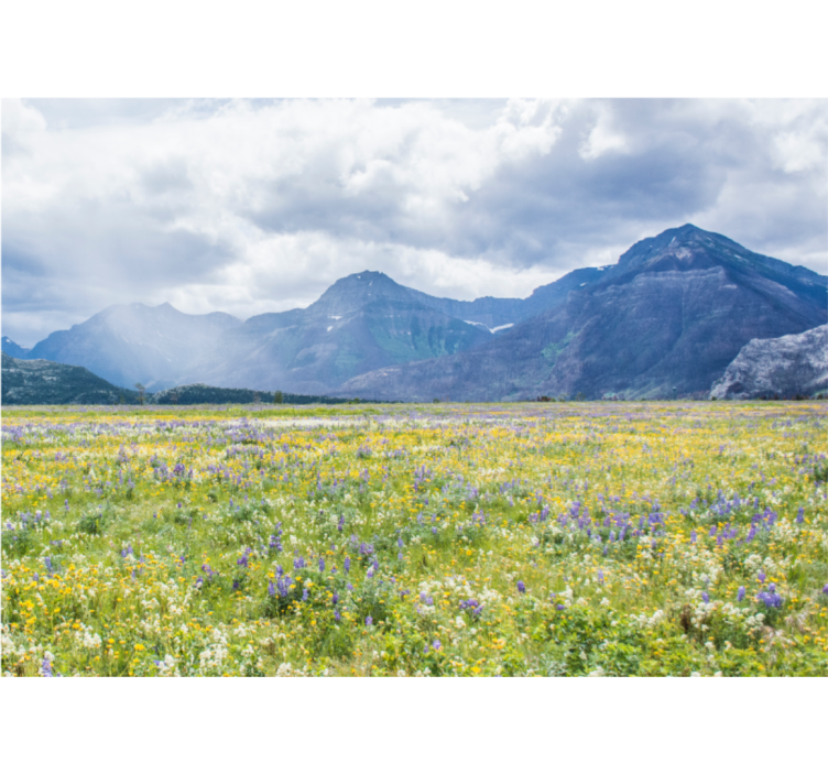 Store enrouleur bureau champ de petites fleurs - TenStickers